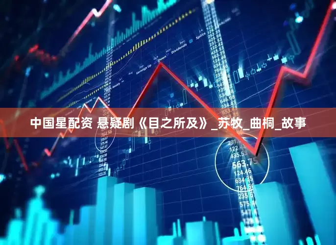 中国星配资 悬疑剧《目之所及》_苏牧_曲桐_故事