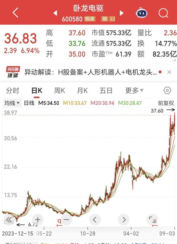 天成创亿 木匠父亲与海归女儿！掌舵卧龙电驱500亿帝国赴港上市，押注机器人！