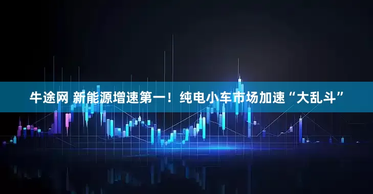 牛途网 新能源增速第一！纯电小车市场加速“大乱斗”